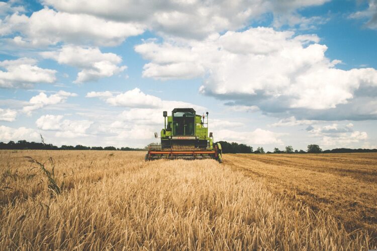 censimento-agricoltura-italia-verso-un-modello-piu-moderno-ma-i-giovani-ancora-non-decollano