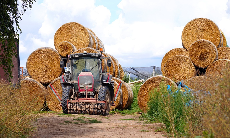 agricoltura-in-calo-gli-infortuni-sul-lavoro