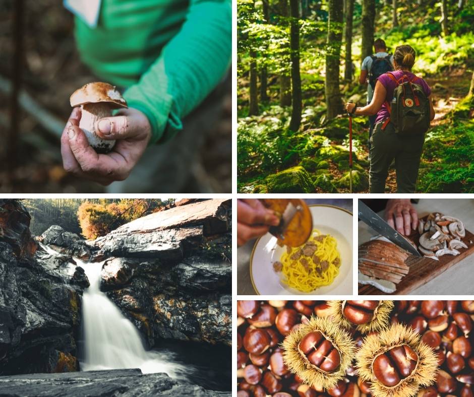 alta-valtaro-un-autunno-tra-porcini-castagne-e-tartufi