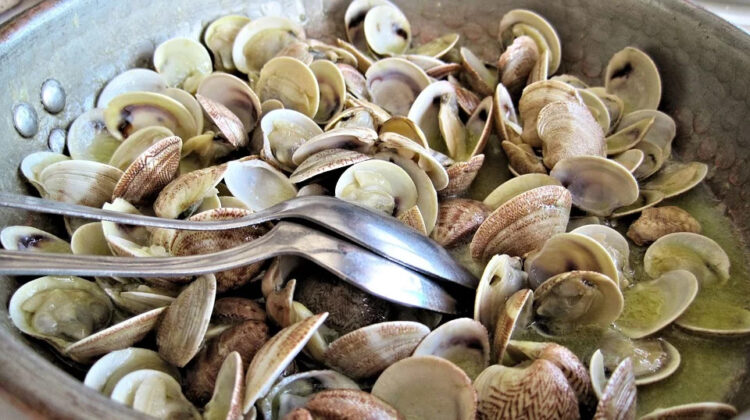 vongole-cucina-tradizionale-italiana-in-salvo